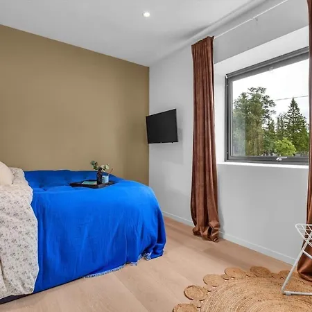 Aurora Polaris - With Outdoor Sauna - 750m From Center - Free Parking Villa