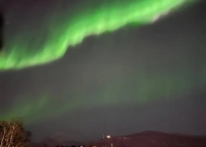 Aurora Polaris - With Outdoor Sauna - 750m From Center - Free Parking *